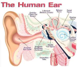 10367188_812476368763752_1873503369589131361_n