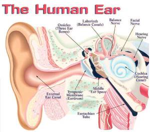 10367188_812476368763752_1873503369589131361_n